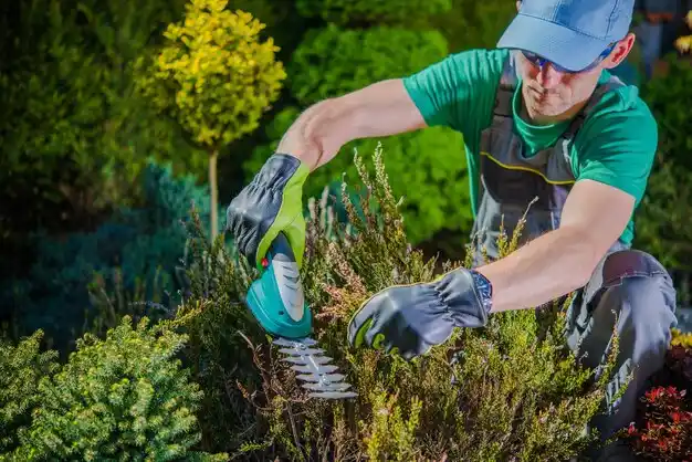 landscaping services Putnam Lake